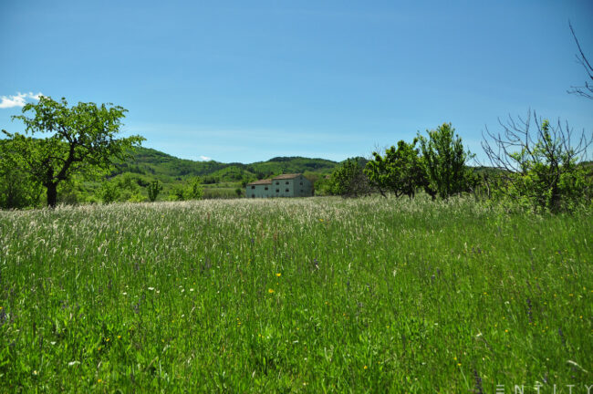 Location scout in Slovenia and Croatia, spring 2021