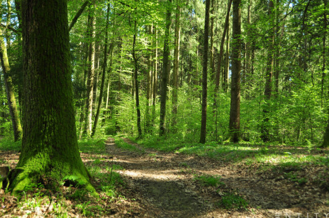 Location scout in Slovenia and Croatia, spring 2021