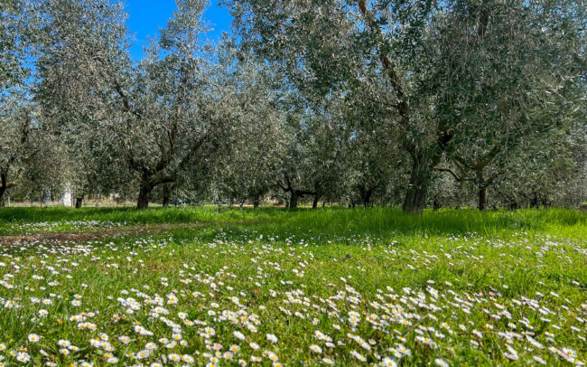 One-day location scout across Slovenia, Croatia and Italy, March 2024