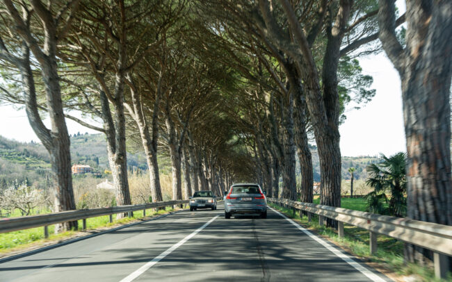 One-day location scout across Slovenia, Croatia and Italy, March 2024